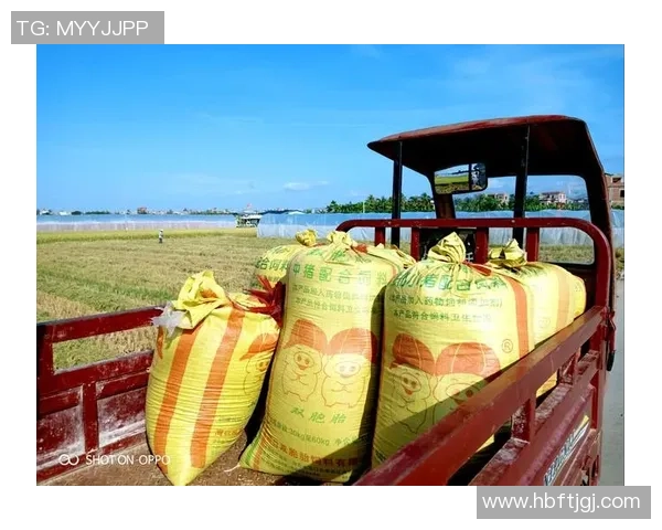 焦泊乔的传奇人生与时代变迁的交织探索