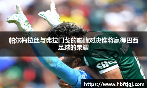 帕尔梅拉丝与弗拉门戈的巅峰对决谁将赢得巴西足球的荣耀